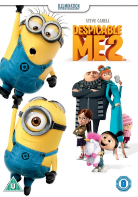 Despicable Me 2 (DVD)