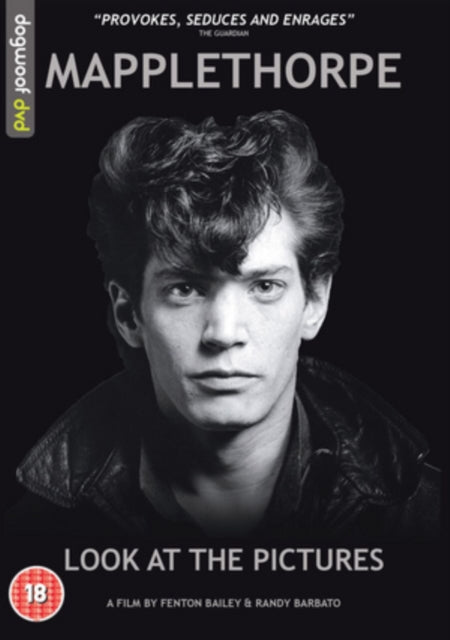 Mapplethorpe Look At The Pictures (DVD)