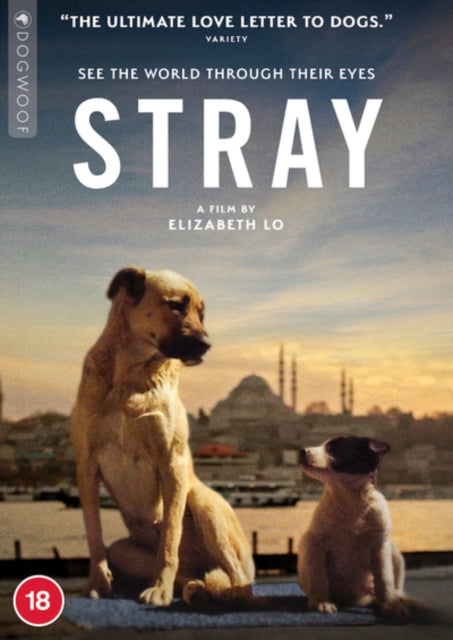 Stray (DVD)