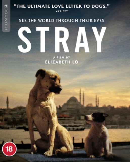 Stray (Blu-ray)