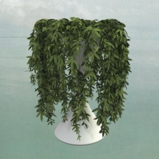 Errors - Lease Of Life (CD)