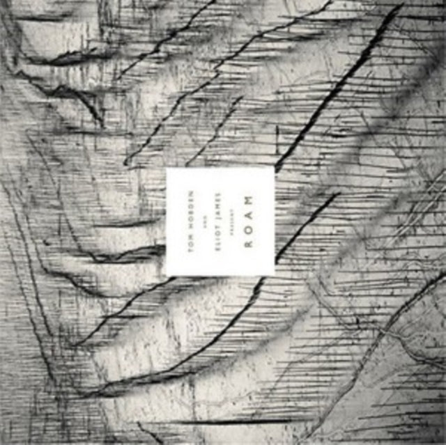 Tom Hobden & Eliot James - Tom Hobden & Eliot James Present: Roam (CD)