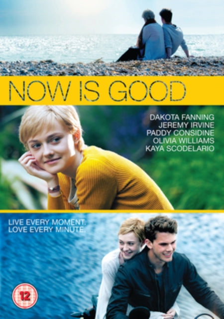 Now Is Good (DVD)