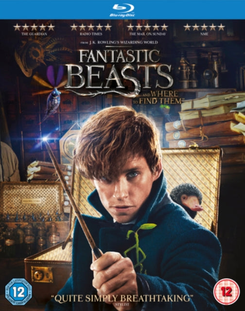 Fantastic Beasts And Where To Find Them (Blu-ray)