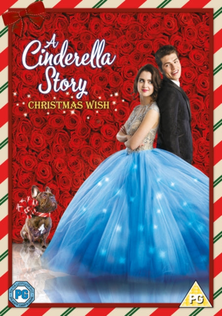 A Cinderella Story: Christmas Wish (DVD)