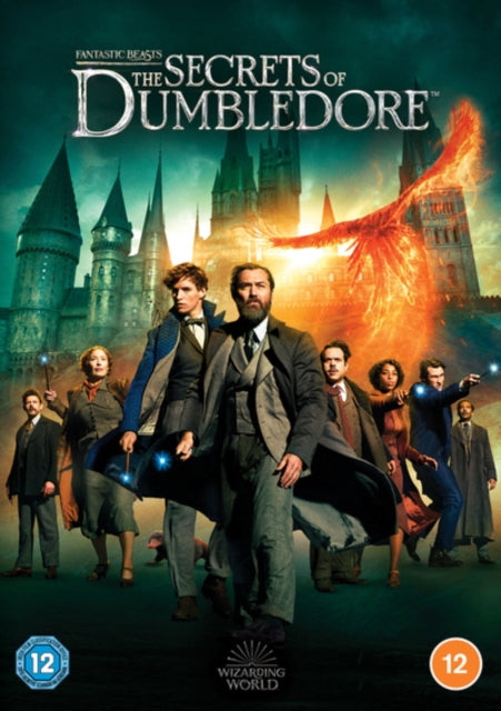 Fantastic Beasts 3 (DVD)