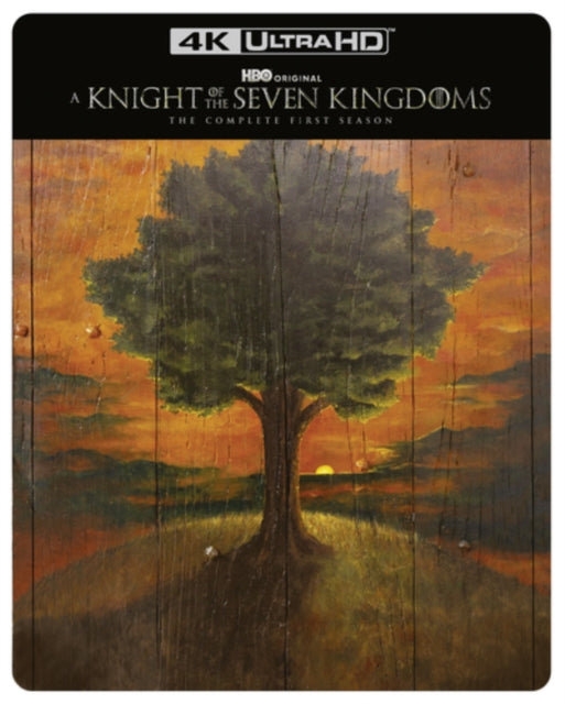 A Knight Of The Seven Kingdoms (Steelbook) (Blu-ray 4K)
