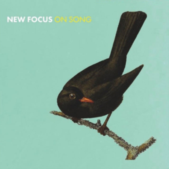 Euan Stevenson & Konrad Wiszniewski - New Focus On Song (CD)