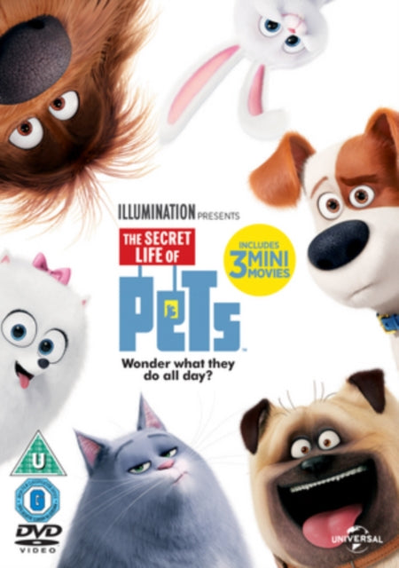 Secret Life Of Pets (DVD)