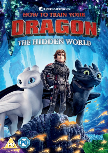 How To Train Your Dragon 3 (DVD)