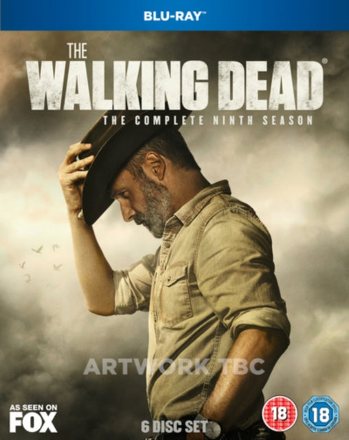 Walking Dead Season 9 (Blu-ray)