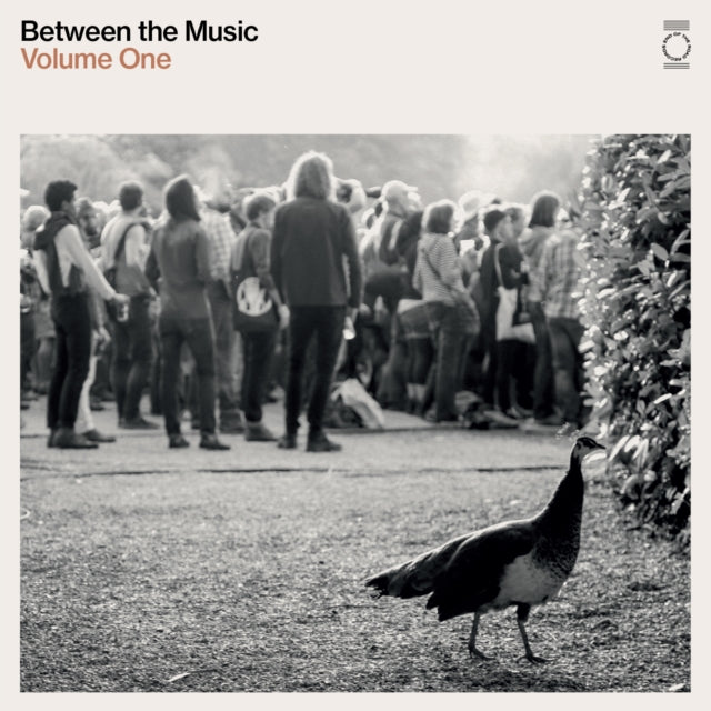 Various Artists - End Of The Road Presents: Between The Music (Vinyl)
