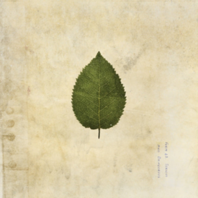 Boxer Rebellion - The Cold Still (Green Swirled Vinyl) (Vinyl)