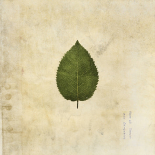 Boxer Rebellion - The Cold Still (Green Swirled Vinyl) (Vinyl)
