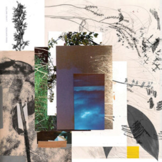 Mara Simpson - Living Matter (Recycled Vinyl) (Vinyl)