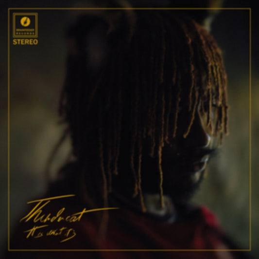 Thundercat - It Is What It Is (Vinyl)