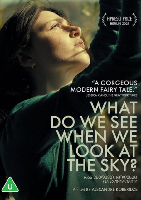 What Do We See When We Look At The Sky? (DVD)