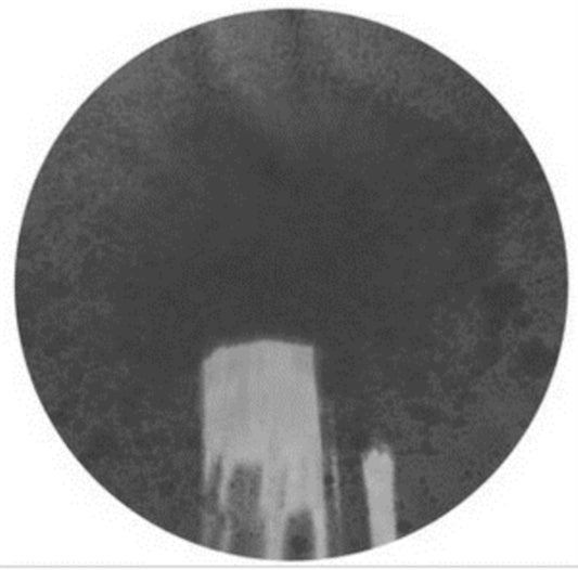 Tashi Dorji - Blue Twelve (Vinyl)