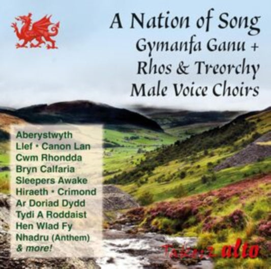 Rhos Male Voice & Treorchy Male Voice Choirs Etc - A Nation Of Song - Gymanfa Ganu + Rhos & Treorchy Male Voice Choirs (CD)
