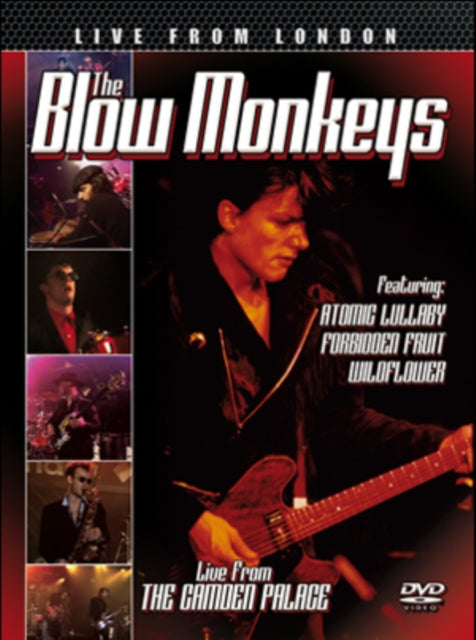 Blow Monkeys - Live From London (DVD)