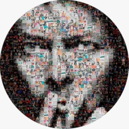 David Bowie - Covers (Picture Disc) (Vinyl)