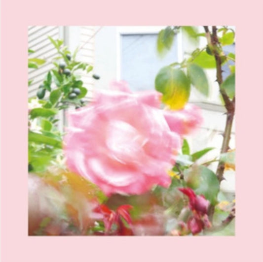 Reds. Pinks And Purples - Summer At Lands End (CD)