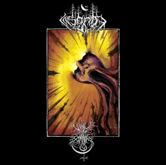 Void Omnia / Insanity Cult - Split (Vinyl)