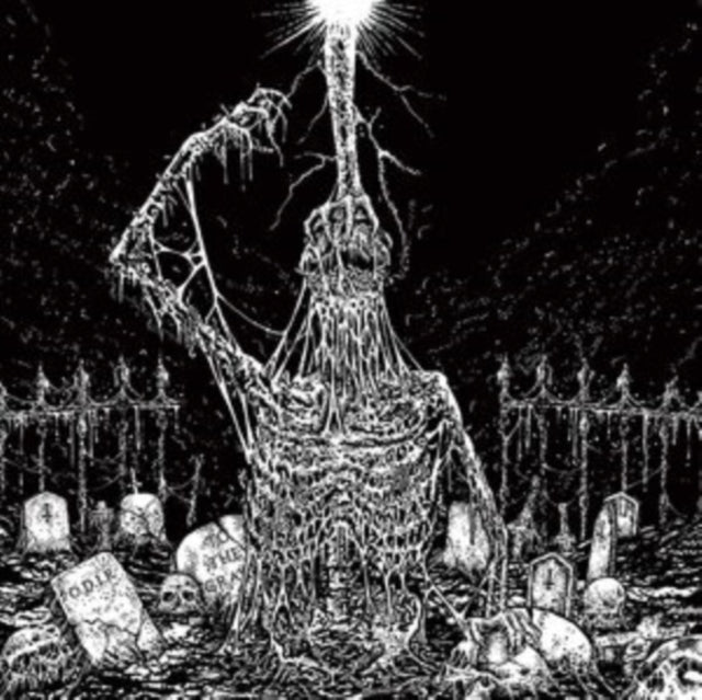 Infesticide / In Obscurity Revealed - Split (CD)