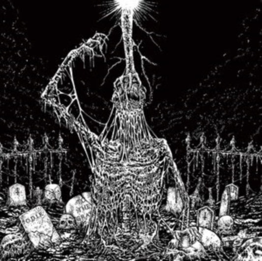 Infesticide / In Obscurity Revealed - Split (CD)