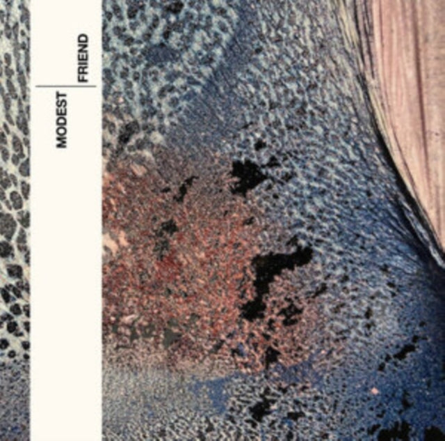Modest - Friend (Vinyl)