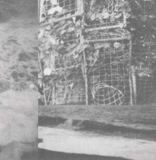 Cremation Lily - The Processes And Instruments Of Normal People (Vinyl)