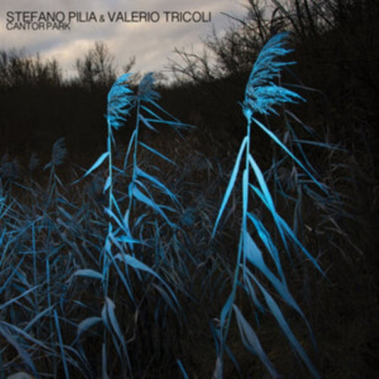 Stefano Pilia & Valerio Tricoli - Cantor Park (Coloured Vinyl) (Vinyl)