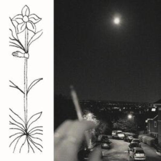 Jabu - A Soft And Gatherable Star (Vinyl)