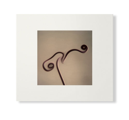 Susumu Yokota - Image 1983-1998 (Skintone Edition) (CD)