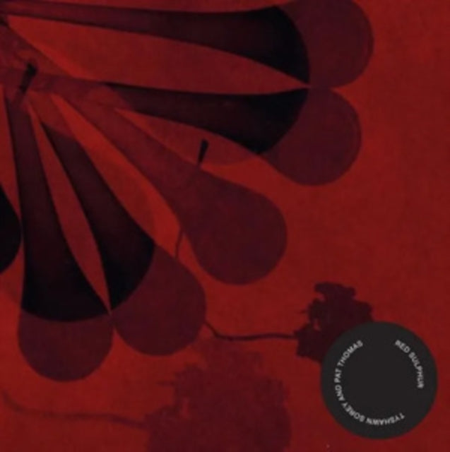 Tyshawn Sorey & Pat Thomas - Red Sulphur (CD)