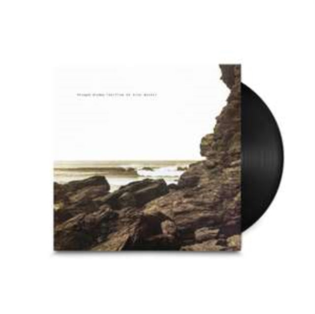Polygon Window - Surfing On Sine Waves (Expanded Edition) (Vinyl)