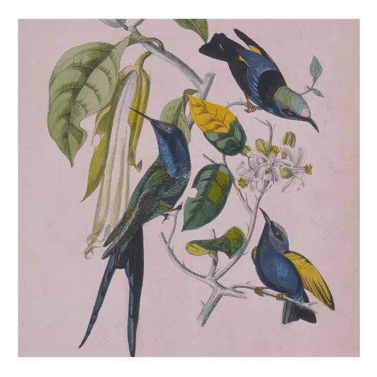 Susumu Yokota - Grinning Cat (Skintone Edition) (CD)