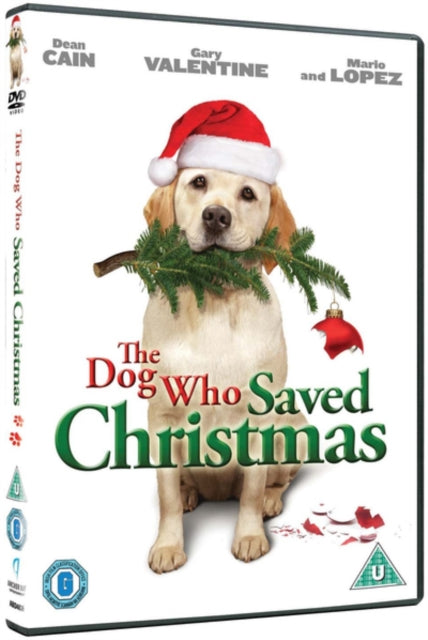 Dog Who Saved Christmas (DVD)