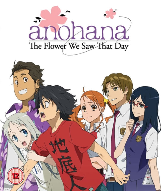 Anohana: Flowers We Saw That Day Collection (Blu-ray)