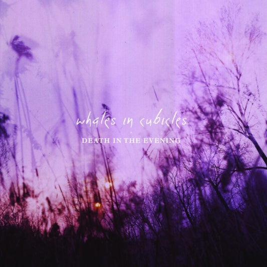 Whales In Cubicles - Death In The Evening (Vinyl)