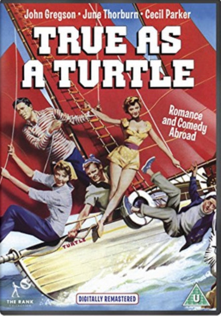 True As A Turtle (DVD)