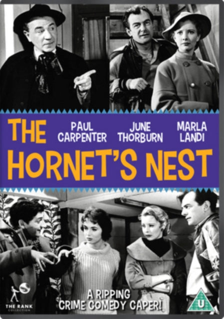 The Hornets Nest (DVD)