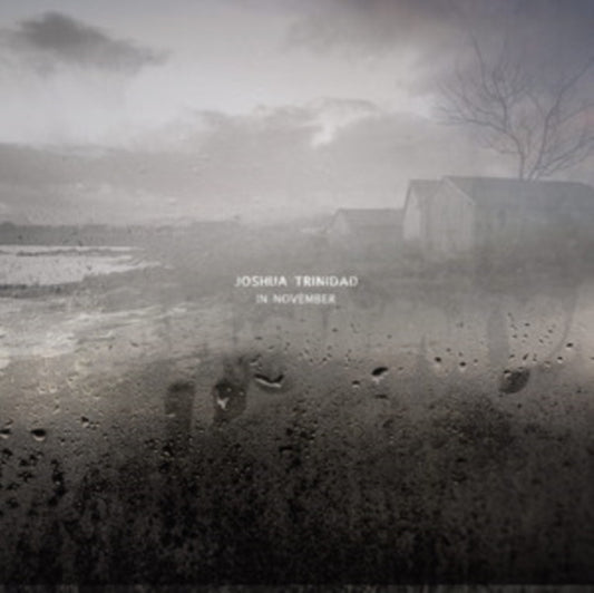 Joshua Trinidad - In November (CD)