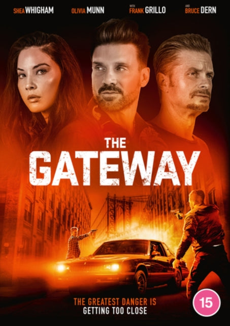 Gateway. The (DVD)