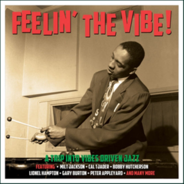 Various Artists - Feelin The Vibe (CD)