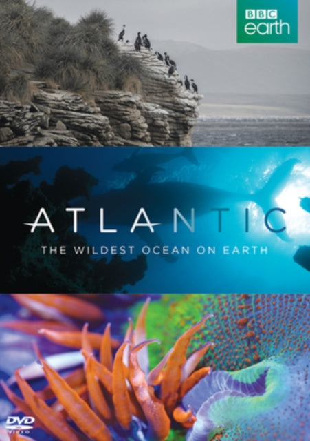 Atlantic Wildest Ocean On Earth BBC (DVD)