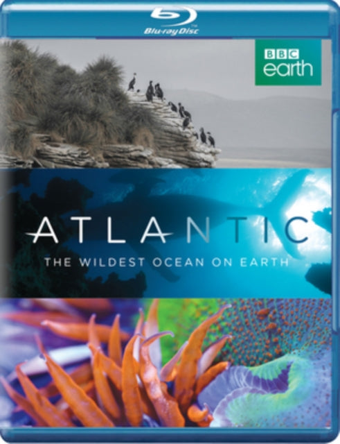 Atlantic Wildest Ocean On Earth (Blu-ray)