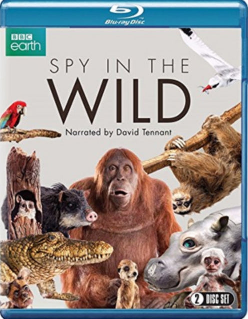 Spy In The Wild Blu-Ray (Blu-ray)