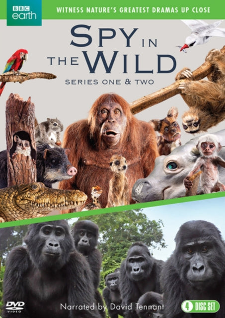 Spy In The Wild: Series 1-2 (DVD)