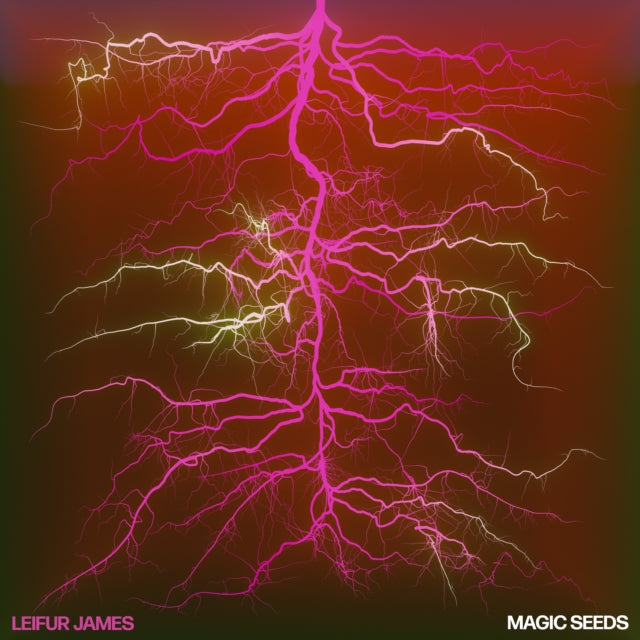 Leifur James - Magic Seeds (Vinyl)